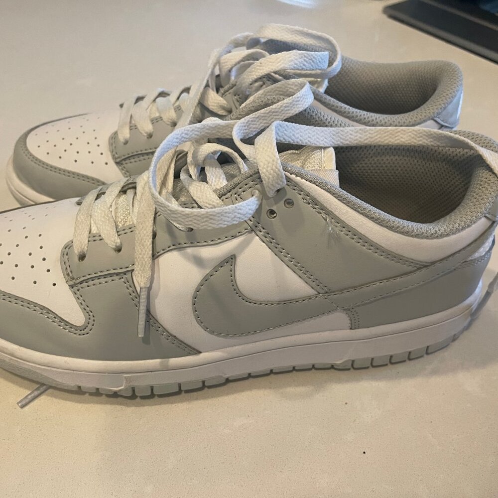 Nike Gray Dunks
